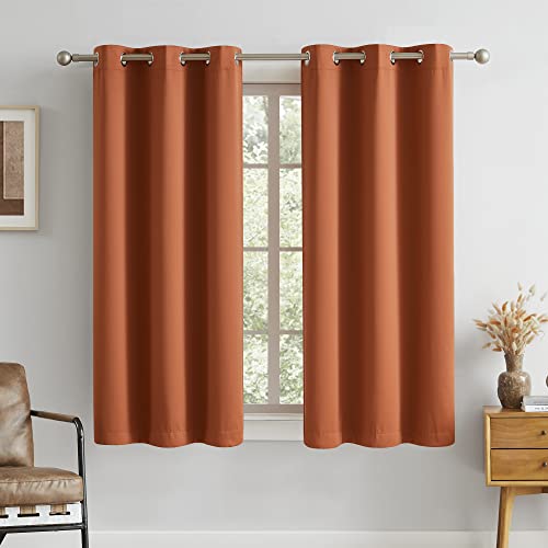 DUALIFE Short Curtains Thermal Insulated Energy Efficient Blackout Grommet Top Curtains for Living Room Bedroom 45Wx38L Inch Rust Orange
