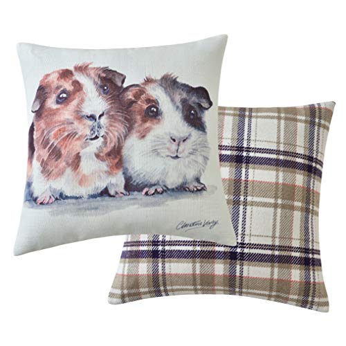 Maturi Filled Seat Cushion with Guinea Pigs Animal Watercolour Image, Chair Sofa Pillow - 43 x 43cm / 17 x 17-inch