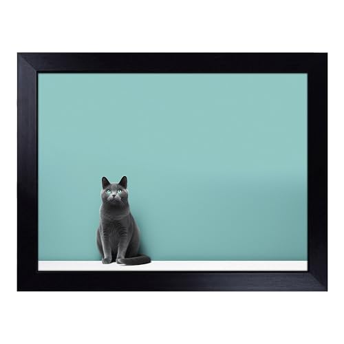 Lap Tray with Bean Bag Cushion, British Shorthair Cat Minimalism - Handmade in the UK, Raised Wooden Edge, Padded Cushion, Heat-Resistant Wipe-Clean Surface, for Meals, Laptops and Crafts