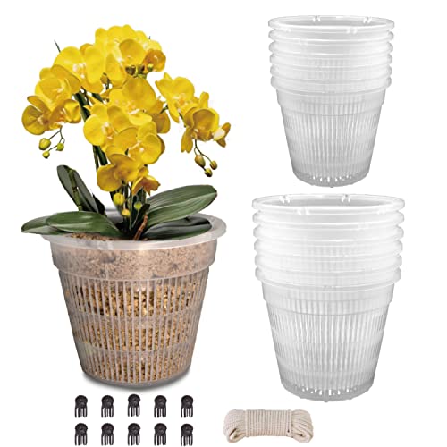 Orchid Pot, 12 Pack Orchid Pots with Holes, 5.5in and 4.5in Clear Orchid Pots for Repotting, Breathable Slotted Orchids Planter, Plastic Flower Plant Pot Indoor (6pcs 5.5in + 6pcs 4.5in)