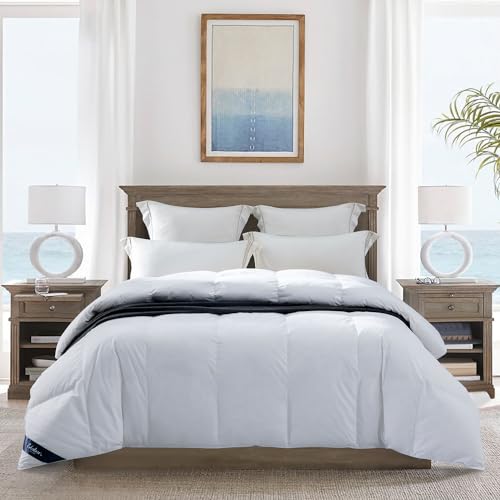 Globon Ultra-Soft Lightweight Down Feather Comforter Queen Size,Breathable Thin Blanket Duvet Insert for Hot Sleeper/Warm Weather,Noiseless Shell,700 Fill Power with Corner Tabs,White