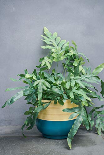 Ivyline Bamboo Teal Planter D19Cm one size