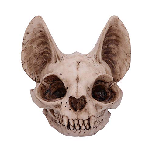 Nemesis Now Bastet's Secret Cat Skull Figurine Ornament, Natural Bone Colour, One Size