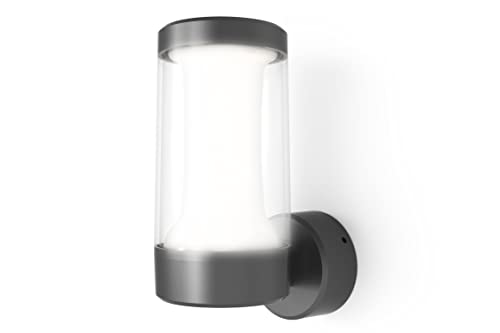 4lite Outdoor Wall Light with Clear Diffuser (Graphite) 260Lm IP54 Rated LED Integrated Cool White Exterior Wall Lamp - 4L2/3000-4yr Guarantee