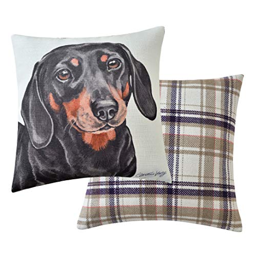 Viceni Maturi Dachshund Filled Dog Cushion-43 x 43cm / 17 x 17-inch, Multi-Colour, 43 x 43cm