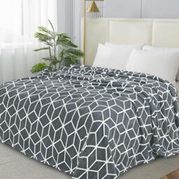 Elegant Comfort ™ Luxury Velvety-Soft Coral Flannel Blanket Micro-Velour Ultra-Softness Fuzzy Plush, King/California King, Grey