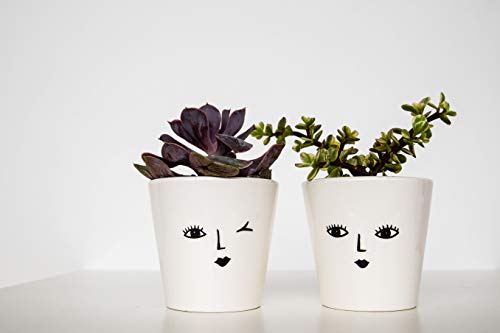 Ivyline Indoor Face Cacti Planter 'Cheeky', Size: H10 x W10 x D10cm