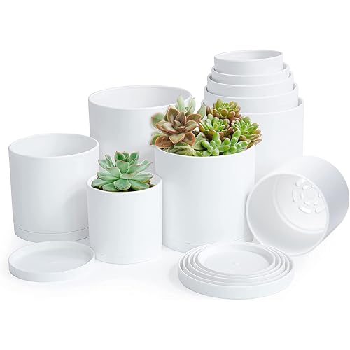 D'vine Dev Pack of 10 Plastic Plant Pots (2 Set of 6 Inch, 5.5 Inch, 5 Inch, 4.5 Inch, 4 Inch) Small Planter Pots for Plant with Drainage Holes and Saucers, White, 74-V-XS-1