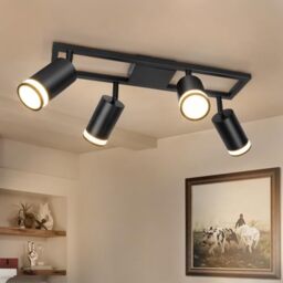 Dehobo Kitchen Ceiling Lights GU10, Black Ceiling Spotlights 4 Way