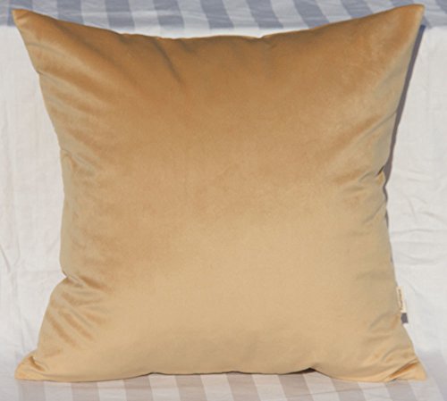TangDepot Super Soft Velvet Throw Pillow Cover 24x24 Beige - Luxury velvet pillow cover, hidden zip, washable, fits any insert, indoor/outdoor, many colors, instant refresh.