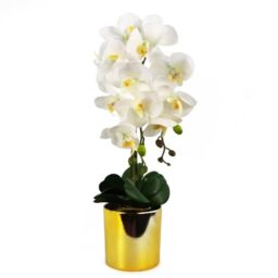 Leaf Design UK Realistic Artificial Orchid Flower Display in Pot, White Gold, 52cm