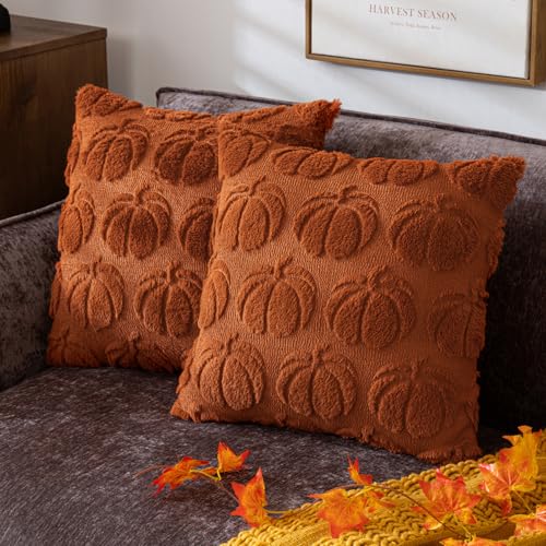 "COSIBONO Pumpkin Fall Decorative Throw Pillow Covers 18""x18"", Set of 2 Rust Red Soft Faux Fur Pillow Covers for Autumn Harvest, Fluffy Plush Accent Pillow Cases for Farmhouse Couch Cushion Covers"