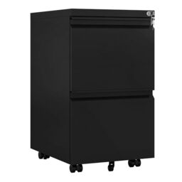 DWVO 2 Drawers Filing Cabinet Lockable Mobile Steel Office Black 51x39x71cm