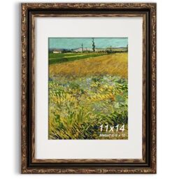 GiftMust 11x14 Picture Frame, Ornate Embossing Frame with Paper Mat and Real Glass, Fit for 11x14 without Mat or 8x10 with Mat, Wall Mounting Display for Art Prints, Bronze and Antique Gold, 1 Pack
