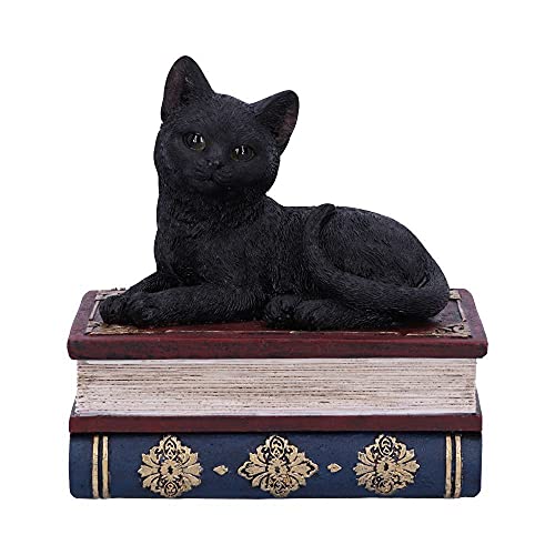 Nemesis Now Salems Spells Witches Familiar Black Cat and Spellbook Box