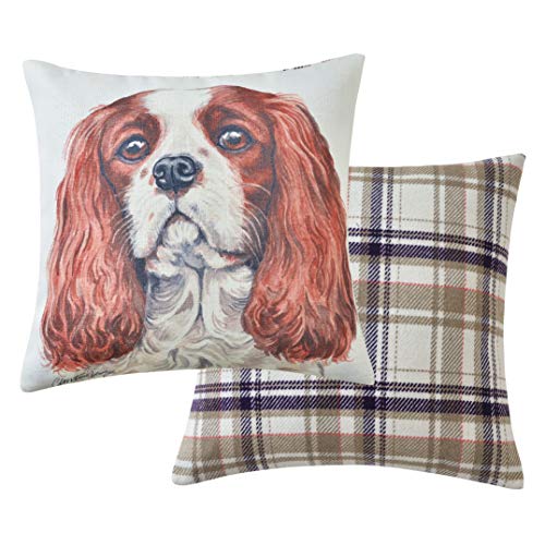 Viceni Maturi Cavalier King Charles Filled Dog Cushion-43 x 43cm / 17 x 17-inch, Multi-Coloured, 43 x 43cm