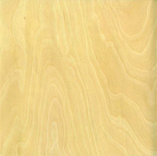 Artemio Kit ScrapBooking, 10 Sheets, Clear, 12 x 0.5 x 30.5 cm