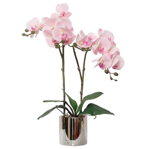 CXGS Artificial Orchid Real Touch Quality Artificial Orchids in Ceramic Vase 50cm Artificial Phalaenopsis Flower Artificial Flower Arrangement for Centerpiece Home Indoor Decoration Pink