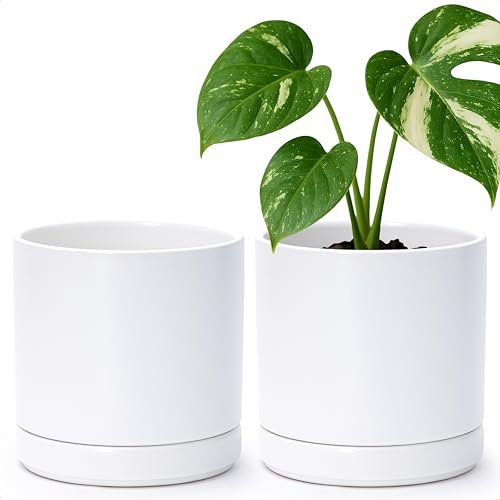 D'vine Dev Set of 2 Plants Pots, 6 Inch Ceramic Planter Pot for Plants with Drainage Hole and Saucer, White, 94-V-C-1