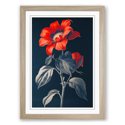 Red Bloom Study Botanical Framed Wall Art Print A2 (59.4×42cm) Oak, Wall Decor for Living Room, Bedroom, Office & Home, Ready to Hang, Art Gift