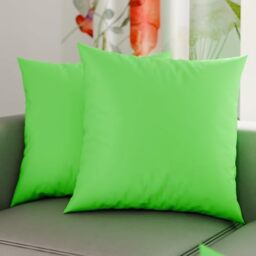 PETTI Artigiani Italiani - Pair of Pillow Cases 65 x 65 cm in Microfibre, Pillows for Bedroom Furniture, Sofa, Set of 2 Cushion Covers, Solid Colour Pillowcase Apple Green