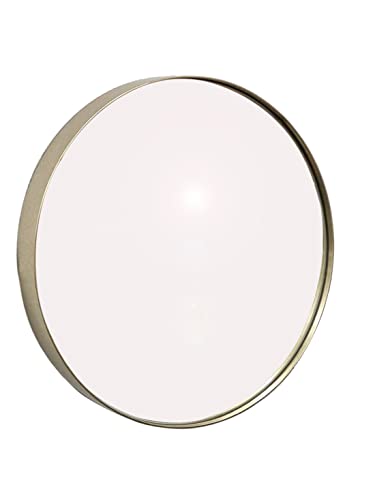 Studio Round Wood Accent Wall Mirror/Vanity Mirror/Bathroom Mirror (50.5 dia x 4 cm, Champagne Silver)