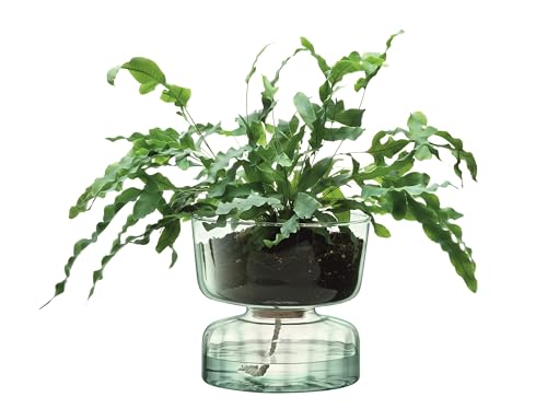 LSA International LSA Canopy Recycled Self Watering Planter Size: 22cm, H22cm