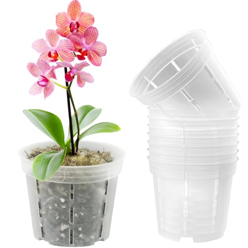 pavtner Orchid Pot 4 inch 8 Pack, Orchid Pots with Holes & Saucers for Repotting, Breathable Slotted Flower Plant Nursery Pot