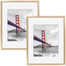 Frametory, 11x14 Metal Picture Frame with Mat for 8x10 Picture & Real Glass, Aluminum Photo Frame Collection (Gold, 2 Pack)