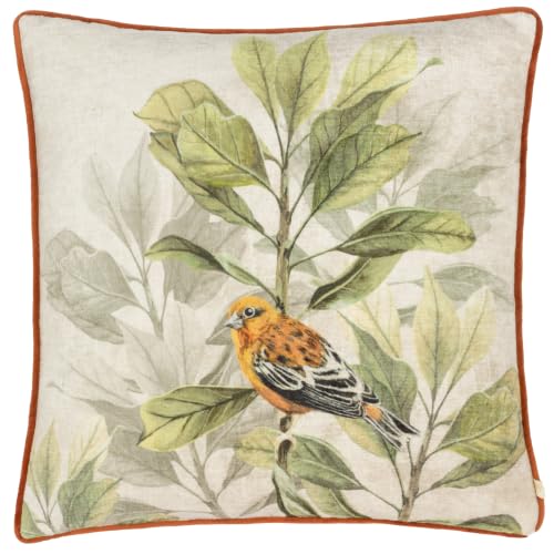 Wylder Kielder Forest Feather Filled Cushion (Cream - 43x43cm)