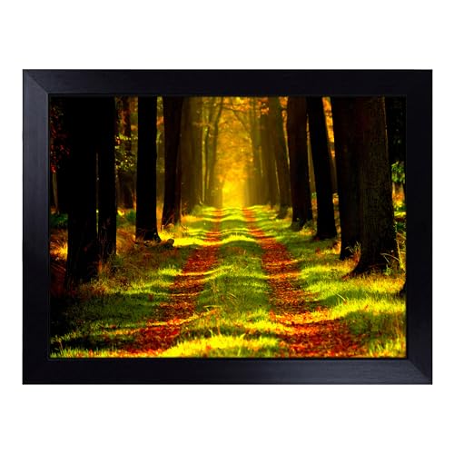 Lap Tray with Bean Bag Cushion, Landscape Forest Woodland Path - Handmade in the UK, Raised Wooden Edge, Padded Cushion, Heat-Resistant Wipe-Clean Surface, for Meals, Laptops and Crafts
