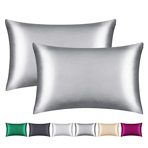 Smbeope 100% Mulberry Silk Pillowcase 2 Pack for Hair and Skin,with Hidden Zipper,Both Sides 22 Momme Natural Silk Pillow Cover,Soft Breathable & Smooth (Gray, Queen)
