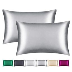 Smbeope 100% Mulberry Silk Pillowcase 2 Pack for Hair and Skin,with Hidden Zipper,Both Sides 22 Momme Natural Silk Pillow Cover,Soft Breathable & Smooth (Gray, Queen)