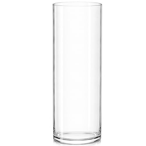 "Royal Imports Flower Glass Vase Decorative Centerpiece for Home or Wedding - Cylinder Shape (4"" Wide x 12"" Tall, Clear)"