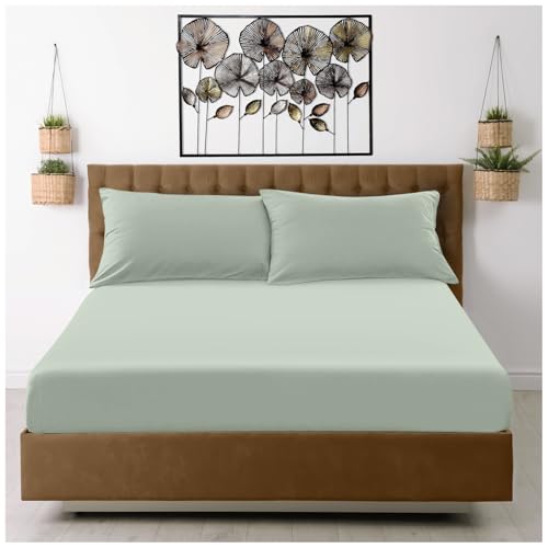 GC GAVENO CAVAILIA Microfiber Fitted Sheet Double - Plain Bed Sheets - Deep Pocket 10 inch (25cm) - Shrinkage, Wrinkle Resistant Bottom Sheet (137x193 cm) - Machine Washable - - Sage Green