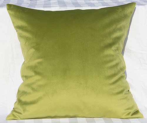 TangDepot Super Soft Velvet Throw Pillow Cover 16x16 Grass Green - Luxury velvet pillow cover, hidden zip, washable, fits any insert, indoor/outdoor, many colors, instant refresh.