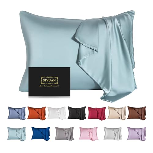 Mulberry Silk Pillowcase for Hair and Skin,Standard Size Cooling Silk Pillow Case with Hidden Zipper,Allergen Proof Dual Sides Soft Breathable Smooth Silk Pillow Cover for Women(Standard,Aqua Blue)