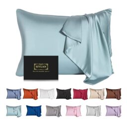 Mulberry Silk Pillowcase for Hair and Skin,Standard Size Cooling Silk Pillow Case with Hidden Zipper,Allergen Proof Dual Sides Soft Breathable Smooth Silk Pillow Cover for Women(Standard,Aqua Blue)