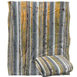 Jq Licensing - James Piazza Birch Trees Silky Touch Super Soft Throw Blanket 152 X 127 Cm