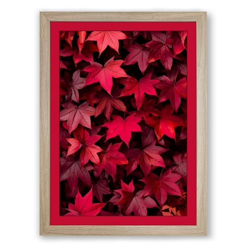 Crimson Canopy Botanical Framed Wall Art Print A2 (59.4×42cm) Oak, Wall Decor for Living Room, Bedroom, Office & Home, Ready to Hang, Art Gift