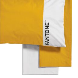 Pantone – Complete Bed Set with Double Bed Sheets Cotton 240 x 280 cm + Fitted Bottom Sheet with Double Corners, Mattress Protector 180 x 200 cm with Elastic Bands for Mattress up to 30 cm + Pillow