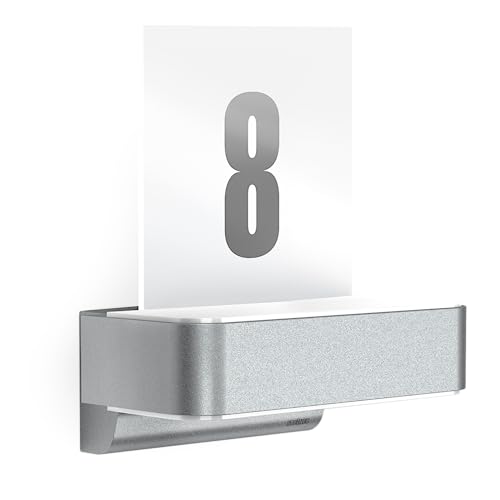 STEINEL Smart LED Outdoor Wall Light L 820 SC Silver