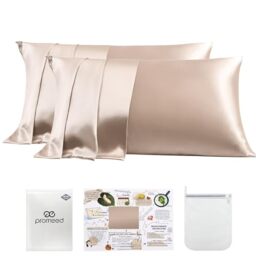 "PROMEED 23 Momme Silk Pillowcase 2 Pack with Zipper, 3rd Gen Grade 6A+ 100% Mulberry Silk Pillow Case Set of 2, Cooling Pillow Cases for Hot Sleepers (Queen 20""x30"", Champagne)"