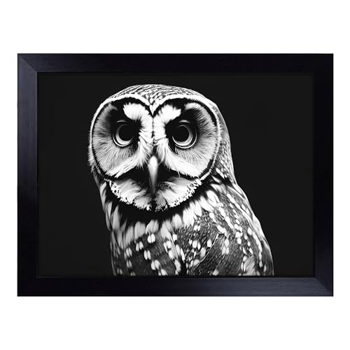Lap Tray with Bean Bag Cushion, Owl Portrait Monochrome - Handmade in the UK, Raised Wooden Edge, Padded Cushion, Heat-Resistant Wipe-Clean Surface, for Meals, Laptops and Crafts