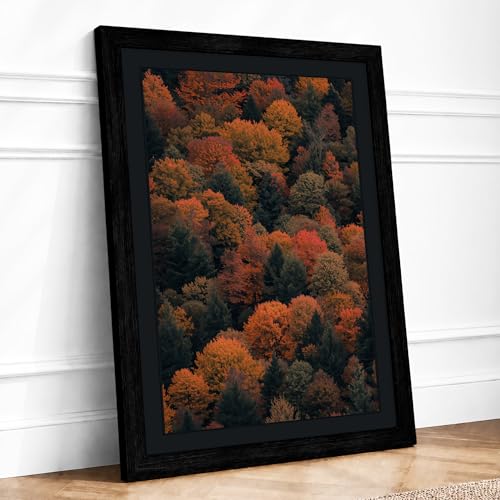 Autumn Canopy Landscape Framed Wall Art Print A2 Black