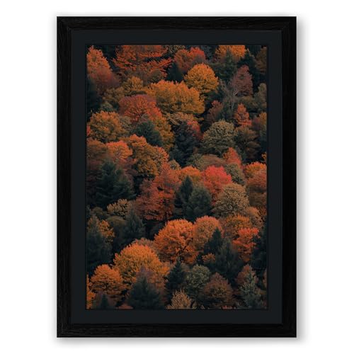 Autumn Canopy Landscape Framed Wall Art Print A2 (59.4×42cm) Black, Wall Decor for Living Room, Bedroom, Office & Home, Ready to Hang, Art Gift