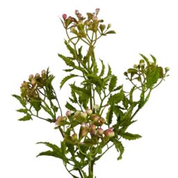 Leaf Design Artificial Flowers, 55cm Berry Pink Foliage
