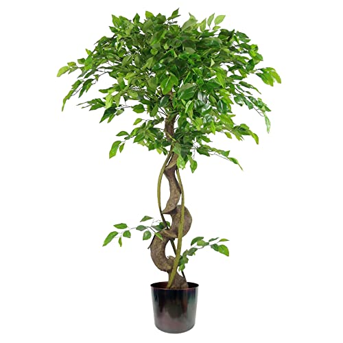 Leaf Realistic Artificial Japanese Fruticosa Ficus Tree, Twisted Rainbow, 120cm (4ft)