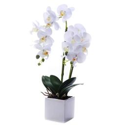 LEEMAN Artificial Lifelike Real Touch Flowers Arrangement Phalaenopsis Bonsai Orchid Miniascape Home Decoration (White 535)
