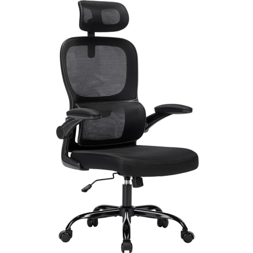 Fizzin Ergonomic Office Chair